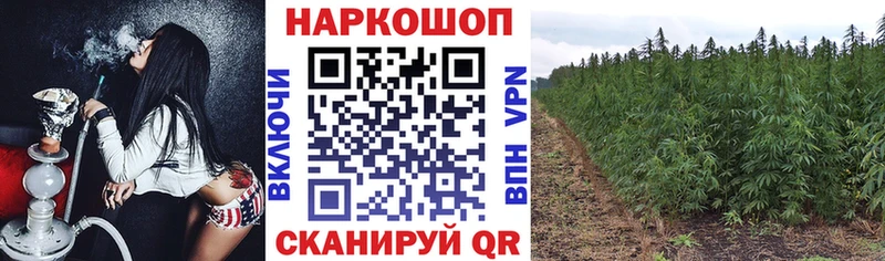 Купить Псилоцибиновые грибы  Cocaine  APVP  Мефедрон  Гашиш  Назарово