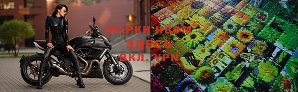 шишки Нея