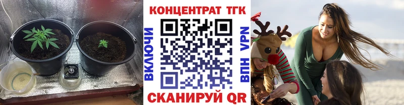 ТГК Wax  Купить  Назарово 